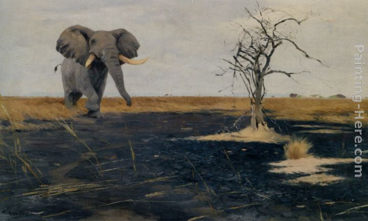 Wilhelm Kuhnert The Lone Elephant